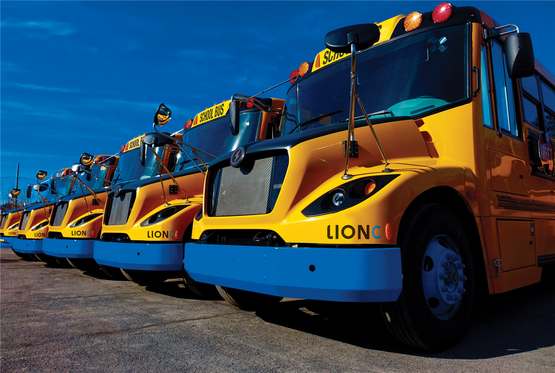 Line of Lion buses
